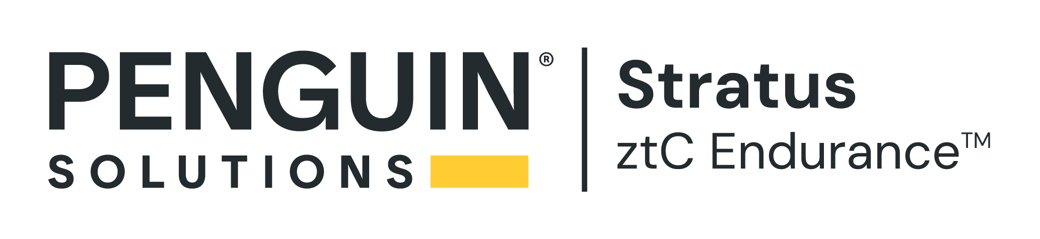 Penguin Solutions Stratus ztC Endurance